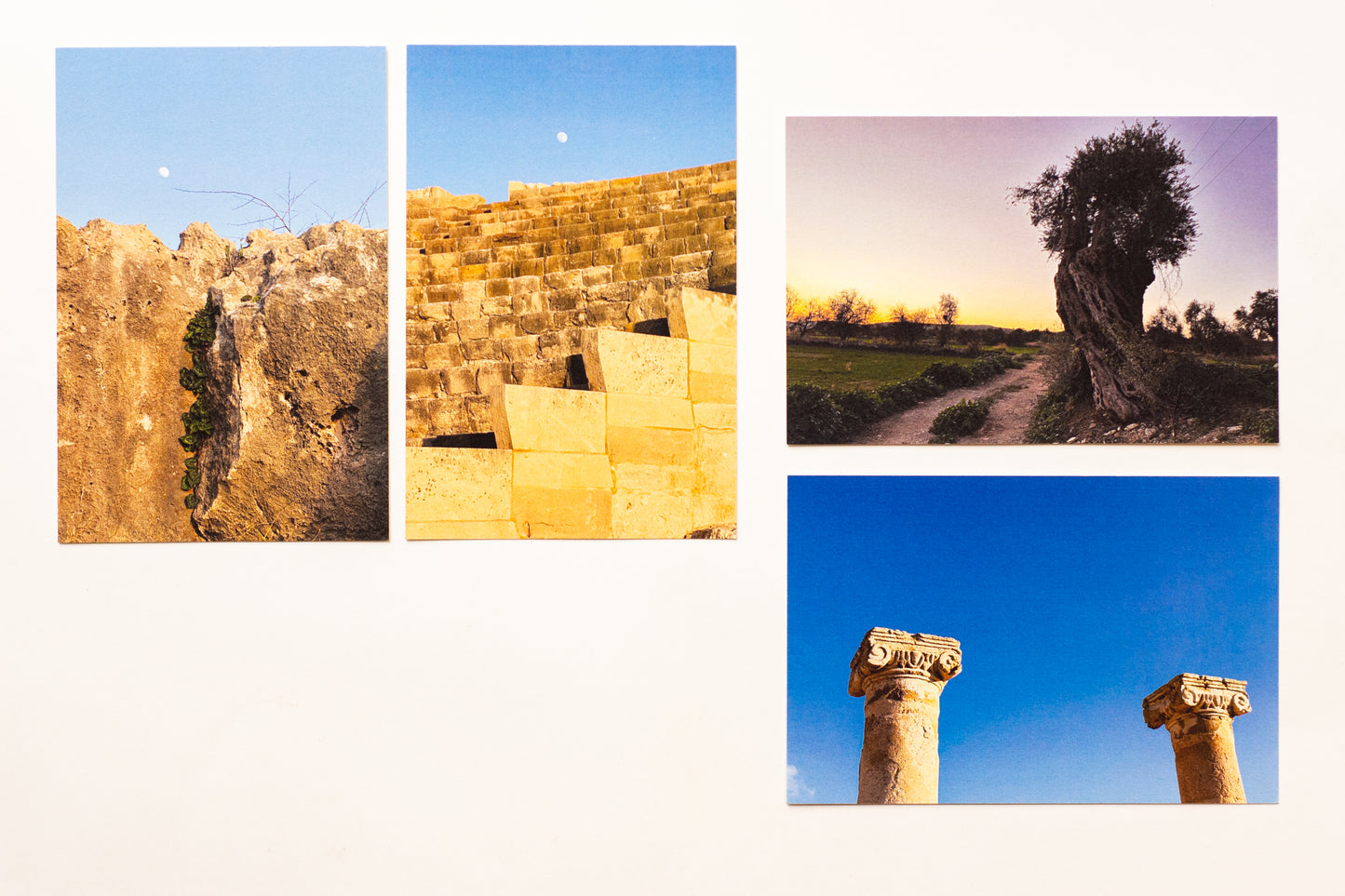 Delivering Views #35 "The Moon Carved Sea" by Zoe Krylova