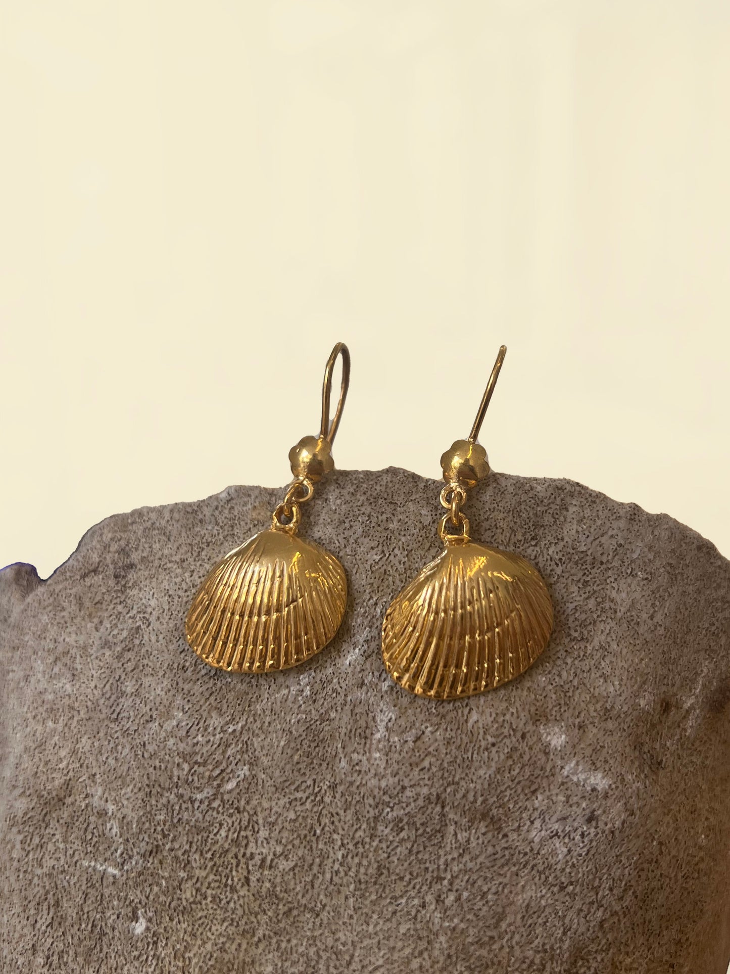 Seashell Earrings