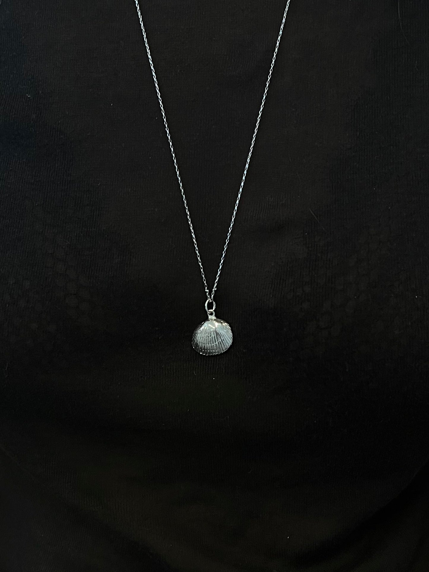 Seashell Necklace