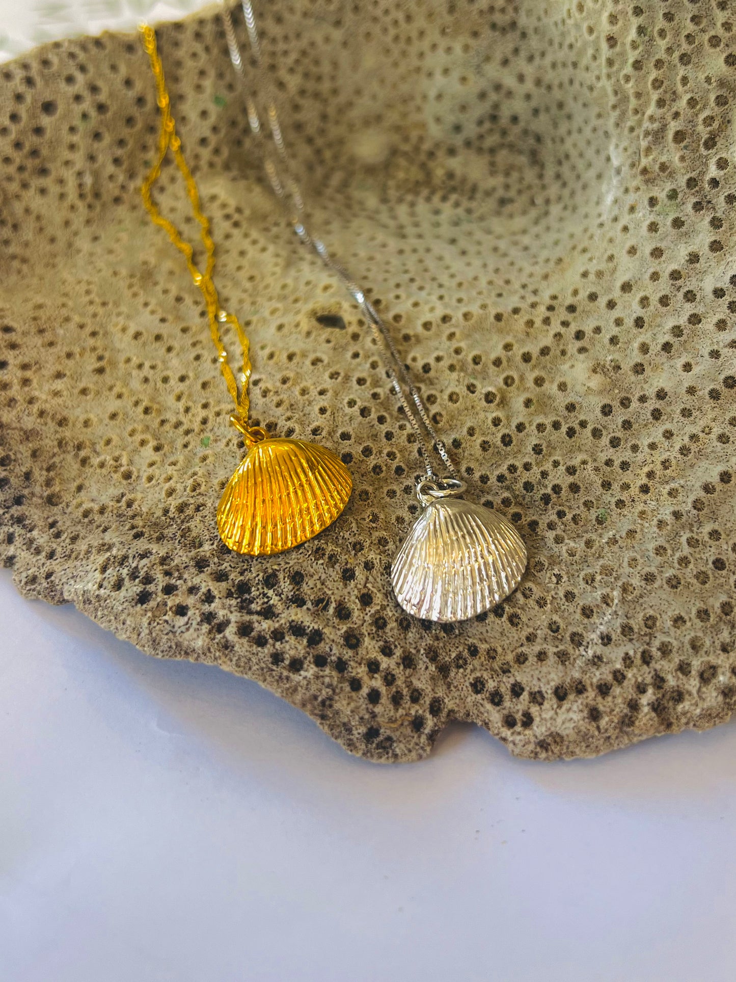 Seashell Necklace