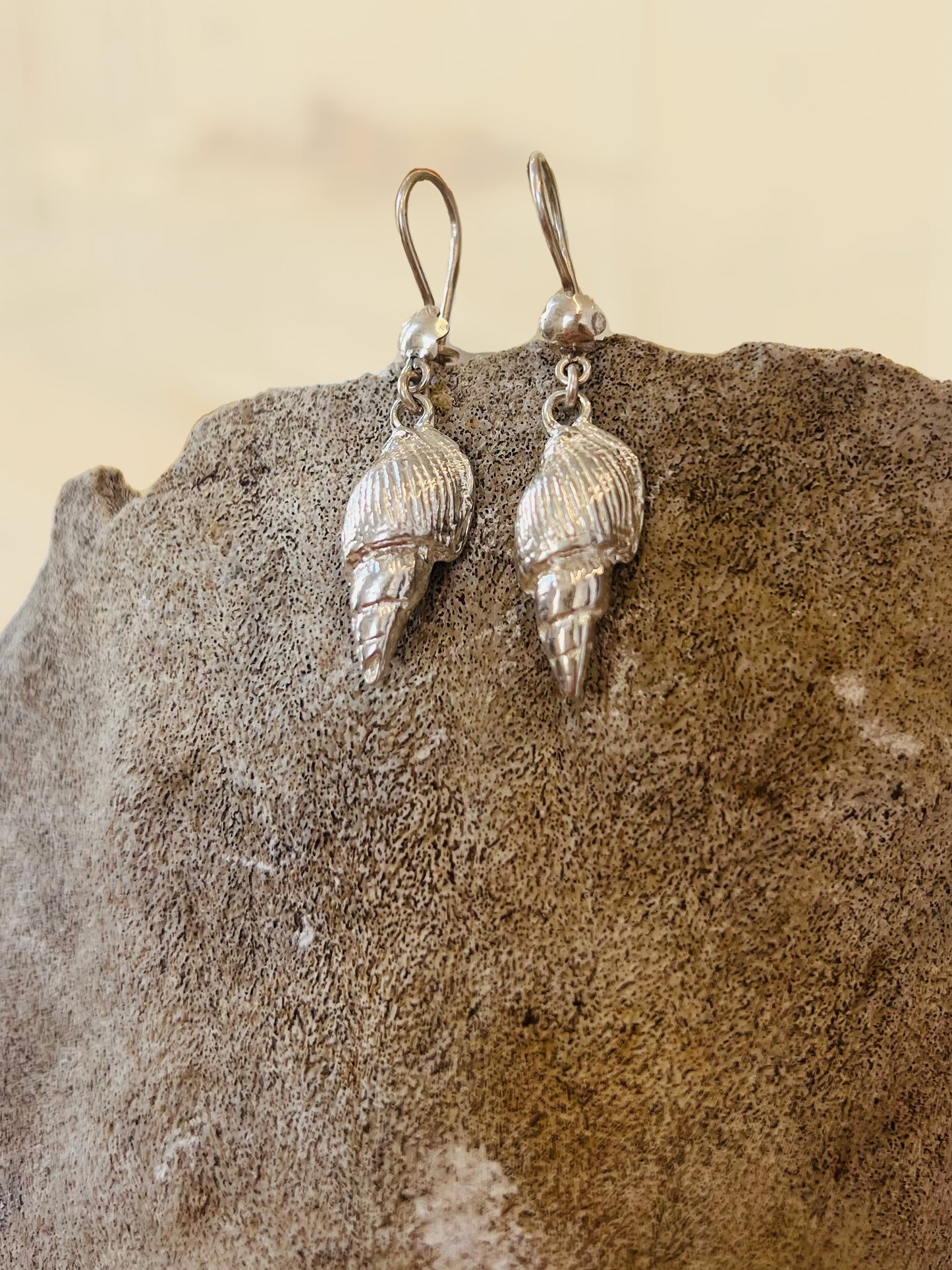 Seashell Earrings