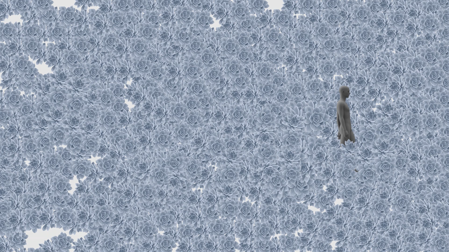 Morning Alcohol I Kyriaki Costa I BURNT WATERS I Limited Edition