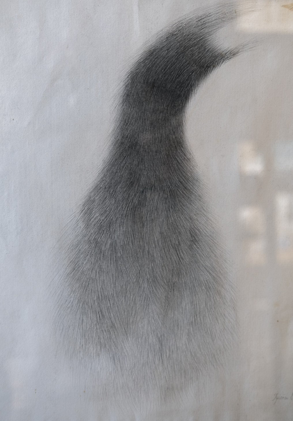 Original Pencil Artwork - Elena Christou