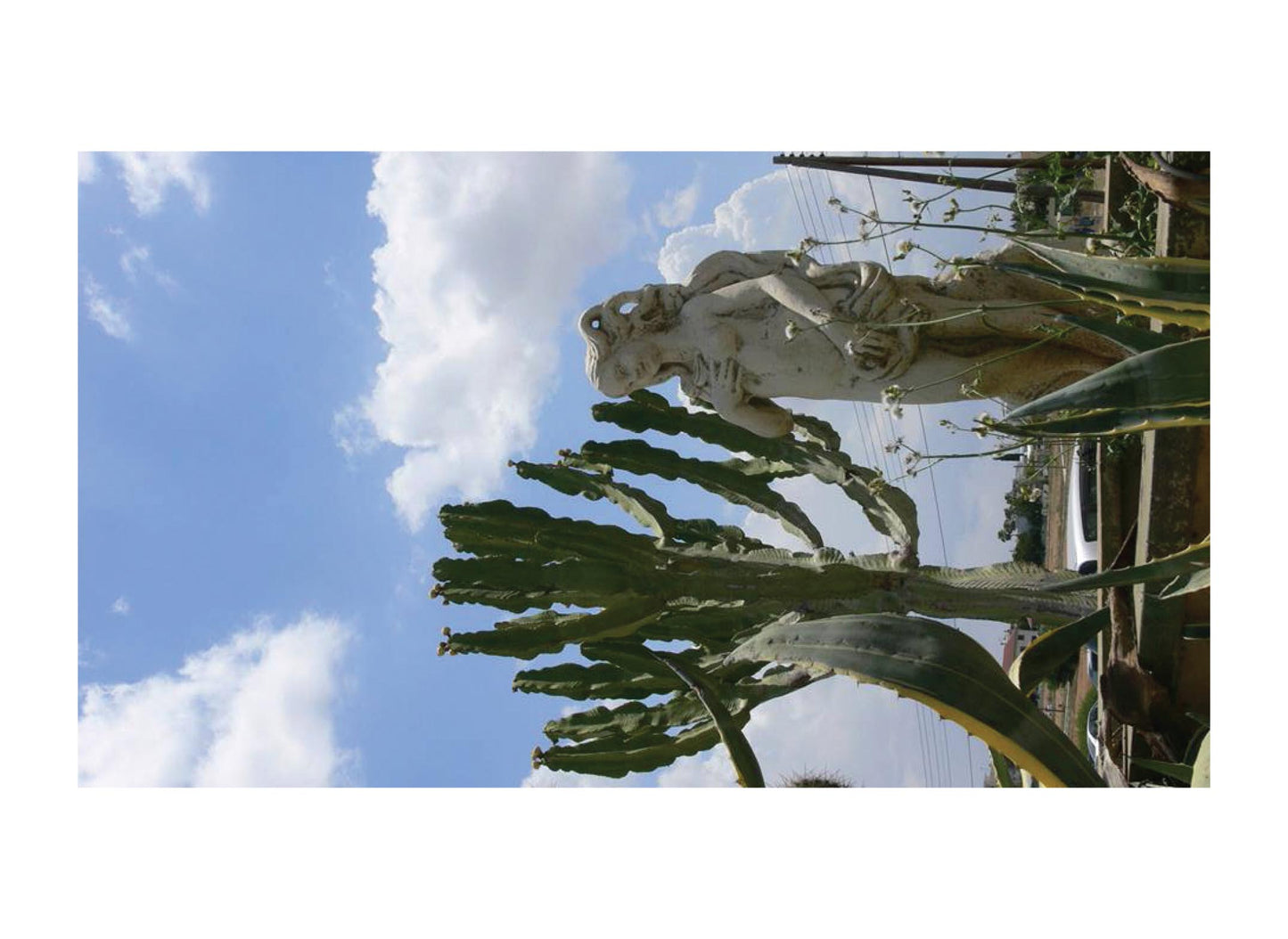 Delivering Views #14 - Book and Postcard Pack / "From Cyprus With Love"