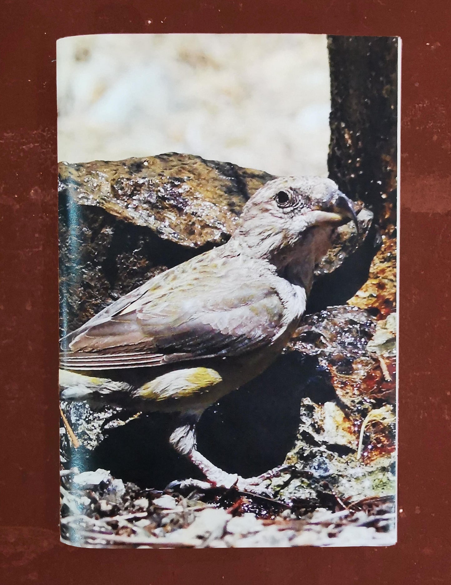 Delivering Views #23 - Book and Postcard Pack / "Re-signifying views: An exercise in decolonizing on/for/from Cyprus"