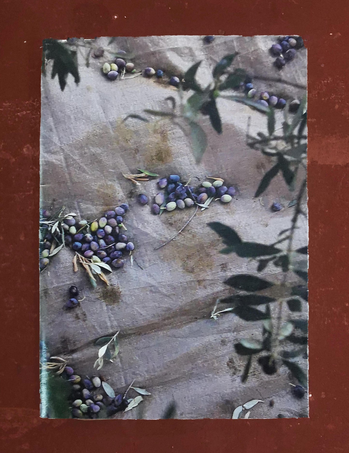 Delivering Views #22 - Book and Postcard Pack / "Φα"