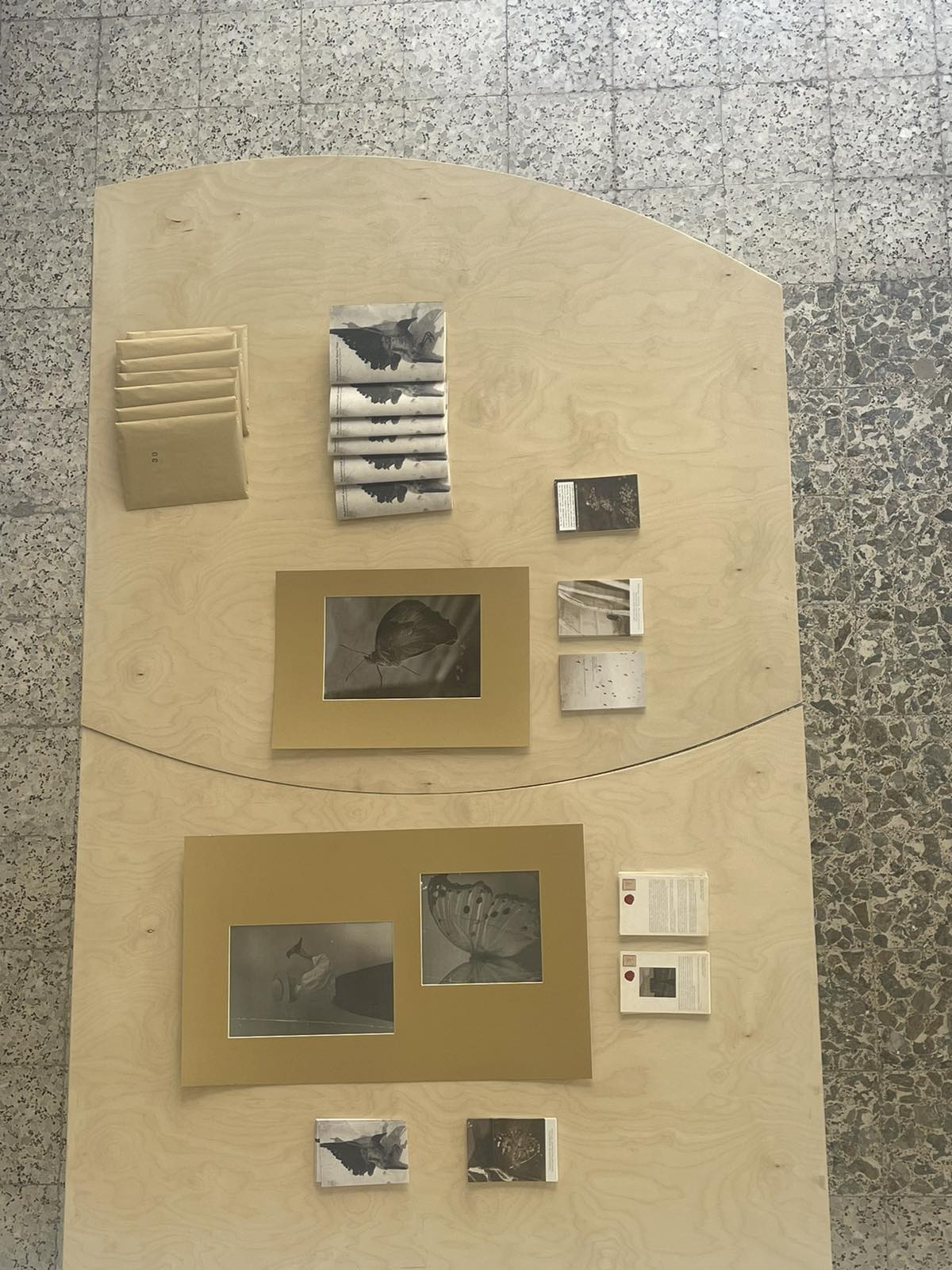 Delivering Views #30 - Book and Postcard Pack / ''The Journal of Small Hearted Things'' / Salamis Aysegul Sentug