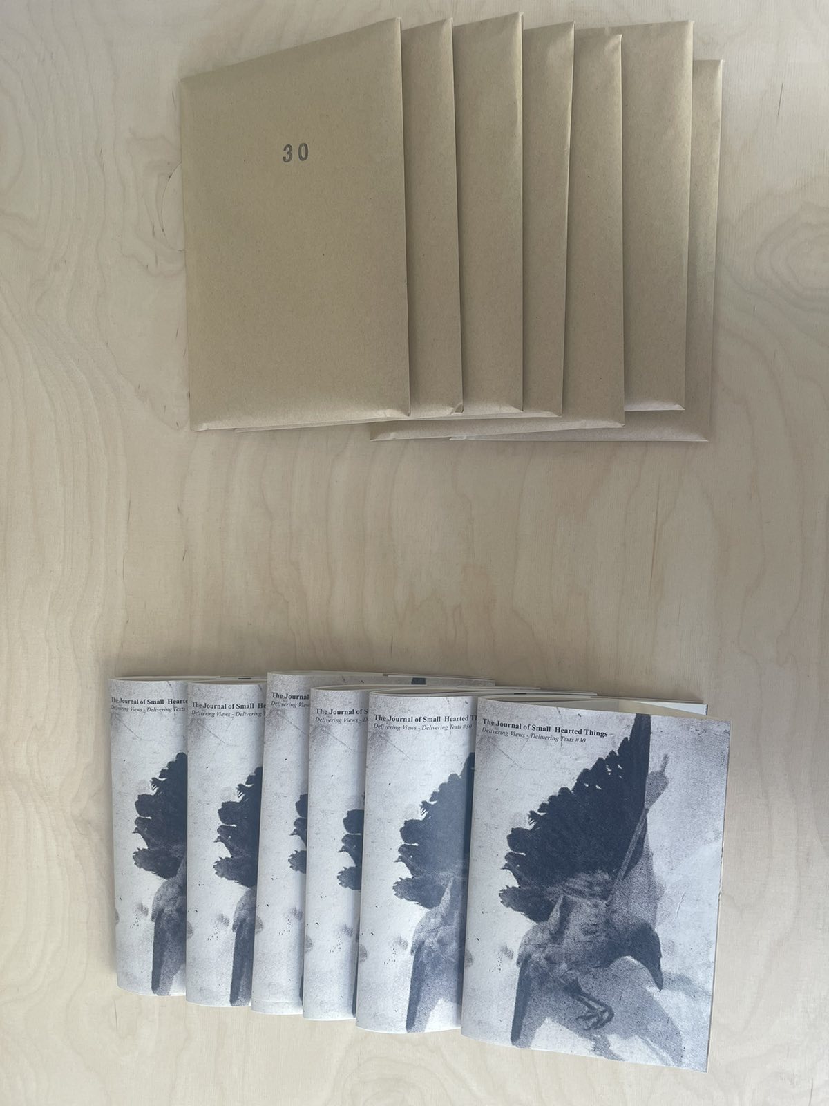 Delivering Views #30 - Book and Postcard Pack / ''The Journal of Small Hearted Things'' / Salamis Aysegul Sentug