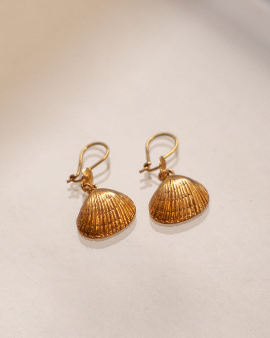 Gold hanging shell earrings