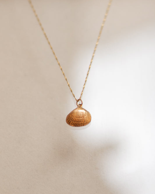 Seashell Necklace