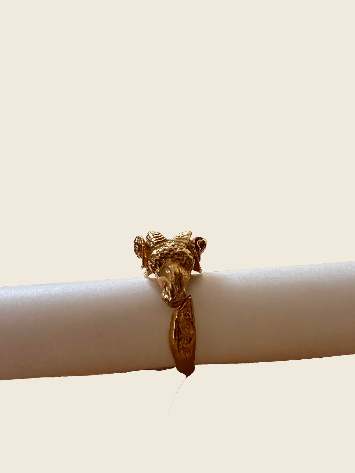 Capricorn Ring