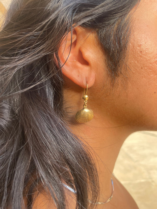 Gold hanging shell earrings