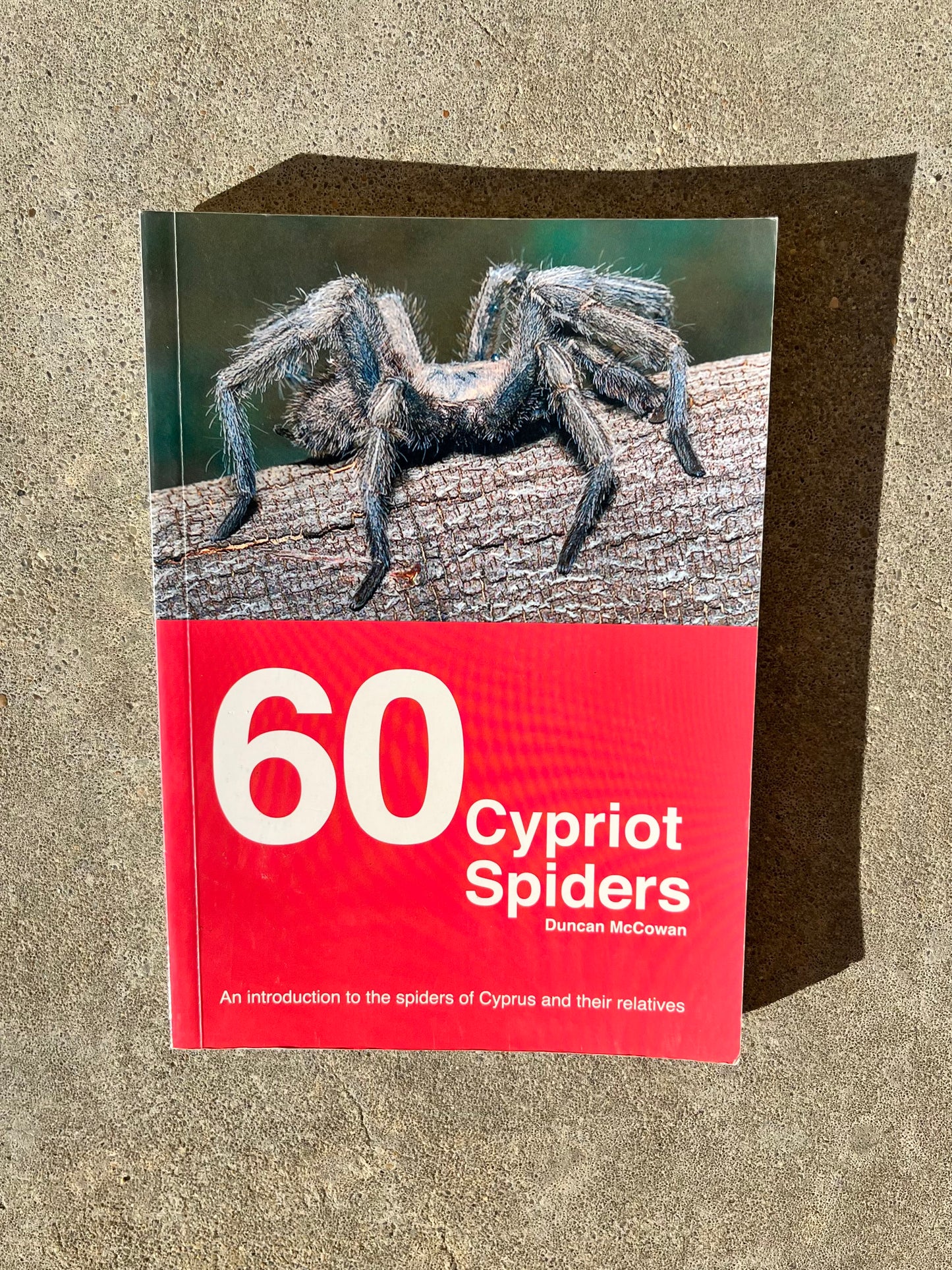 60 Cypriot spiders by Ducan McCowan