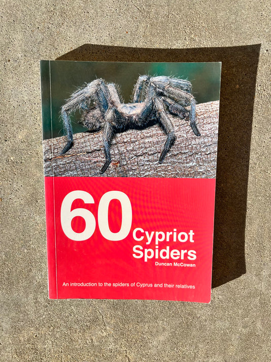 60 Cypriot spiders by Ducan McCowan